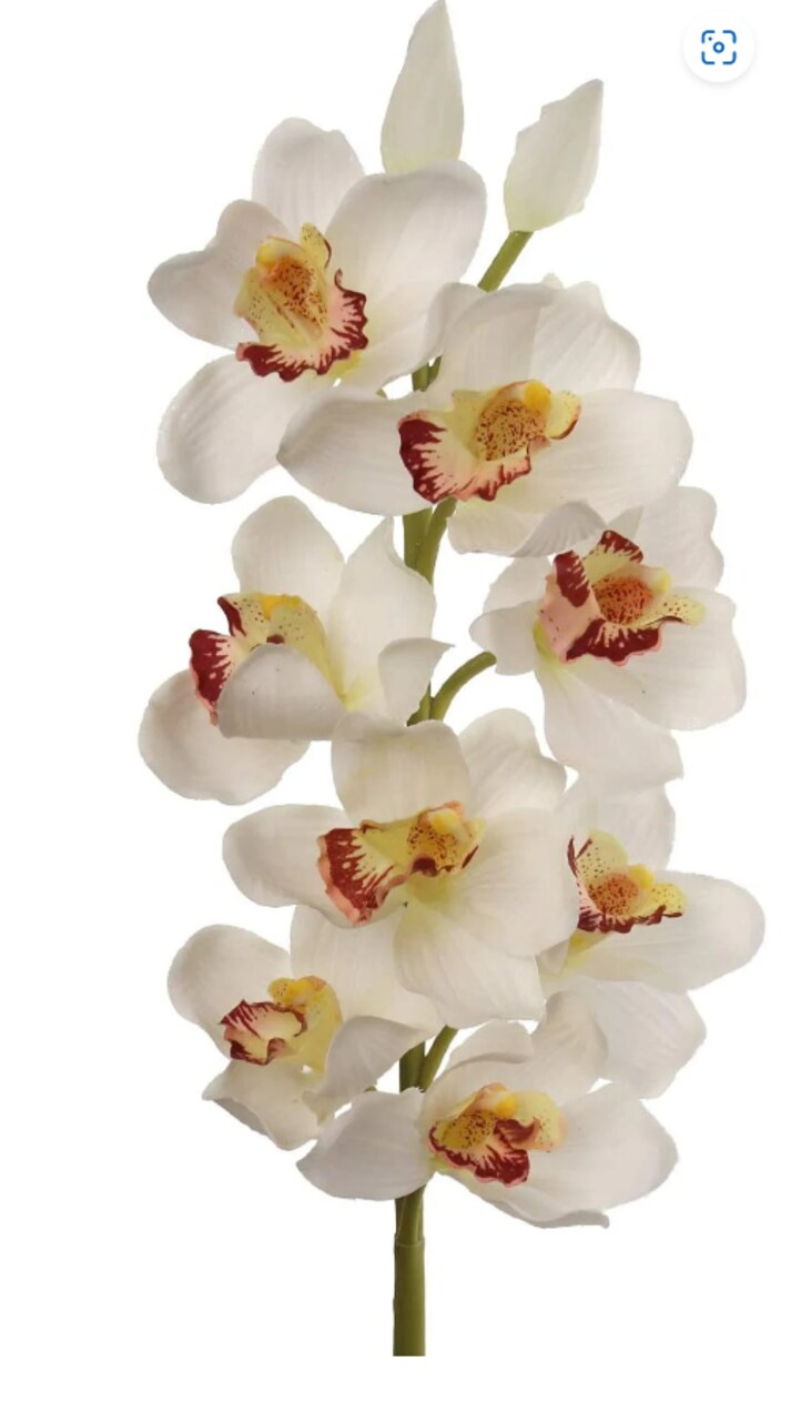 15-Inch Cream/White Silk Cymbidium Orchid Stem - Elegant and Realistic Floral Décor for Home Arrangements & Special Occasions - Timeless Beauty, Floral Home by Artificial Flowers